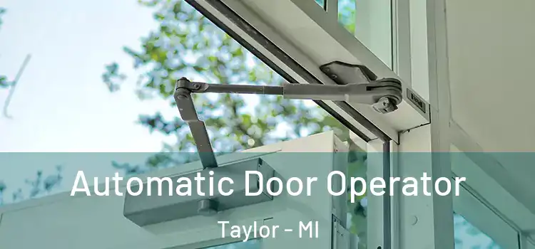 Automatic Door Operator Taylor - MI