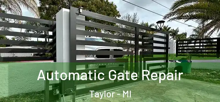 Automatic Gate Repair Taylor - MI