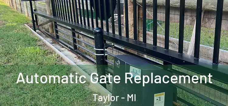 Automatic Gate Replacement Taylor - MI