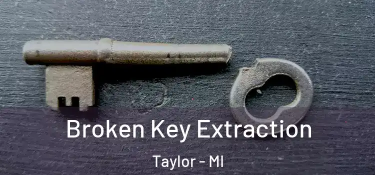 Broken Key Extraction Taylor - MI