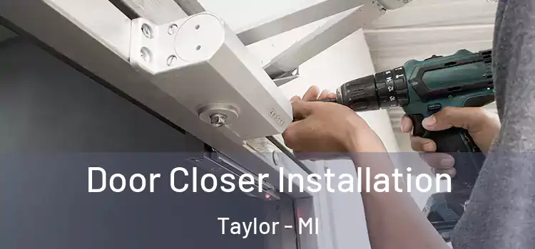 Door Closer Installation Taylor - MI