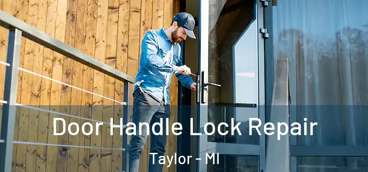 Door Handle Lock Repair Taylor - MI