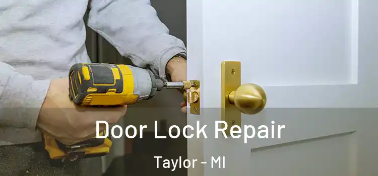 Door Lock Repair Taylor - MI