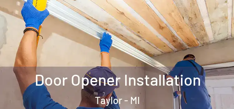 Door Opener Installation Taylor - MI