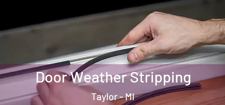Door Weather Stripping Taylor - MI