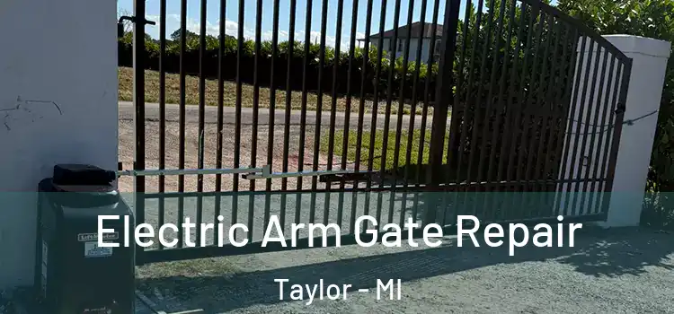 Electric Arm Gate Repair Taylor - MI