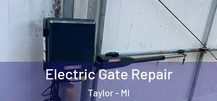 Electric Gate Repair Taylor - MI