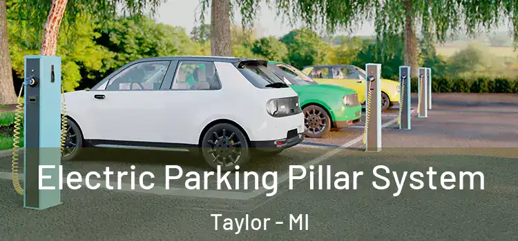 Electric Parking Pillar System Taylor - MI