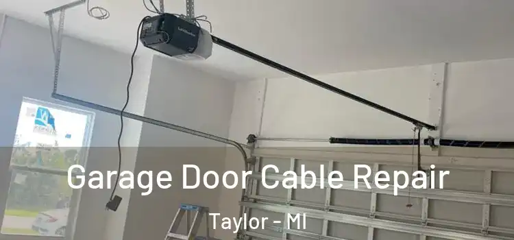  Garage Door Cable Repair Taylor - MI