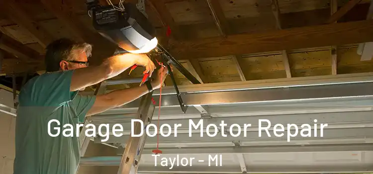  Garage Door Motor Repair Taylor - MI