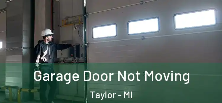  Garage Door Not Moving Taylor - MI