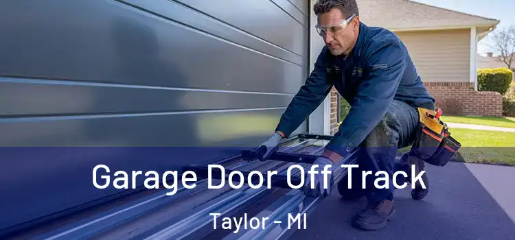  Garage Door Off Track Taylor - MI