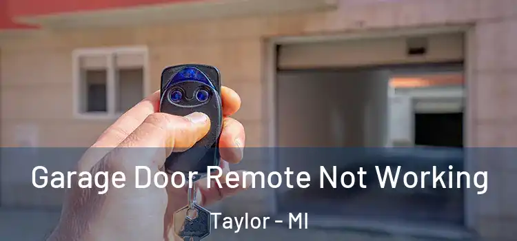  Garage Door Remote Not Working Taylor - MI