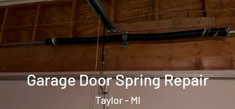  Garage Door Spring Repair Taylor - MI