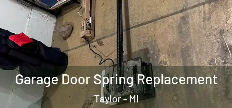  Garage Door Spring Replacement Taylor - MI