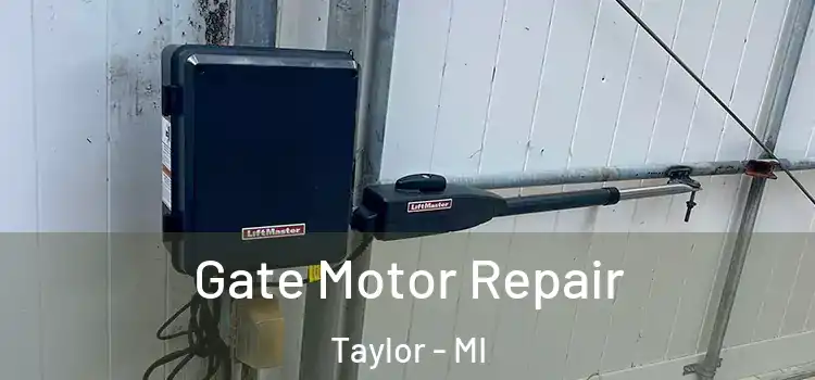 Gate Motor Repair Taylor - MI