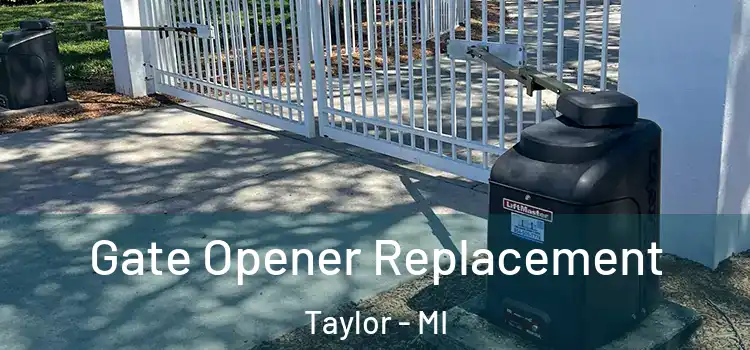 Gate Opener Replacement Taylor - MI