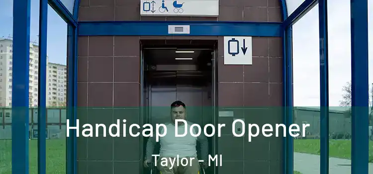 Handicap Door Opener Taylor - MI