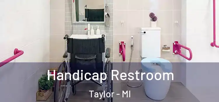Handicap Restroom Taylor - MI