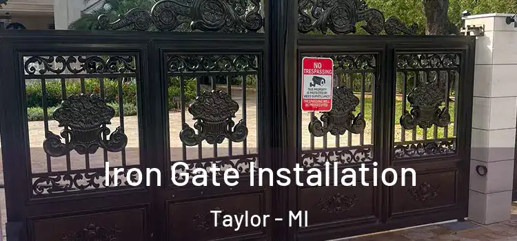 Iron Gate Installation Taylor - MI