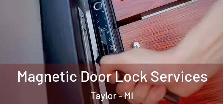 Magnetic Door Lock Services Taylor - MI
