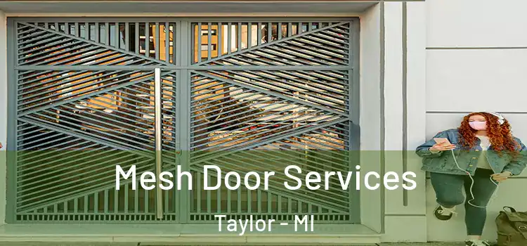 Mesh Door Services Taylor - MI