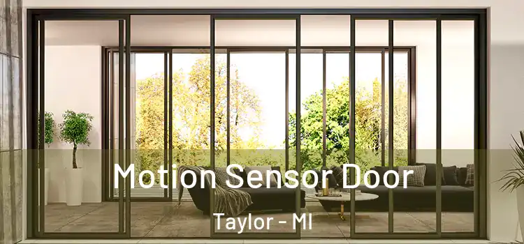 Motion Sensor Door Taylor - MI