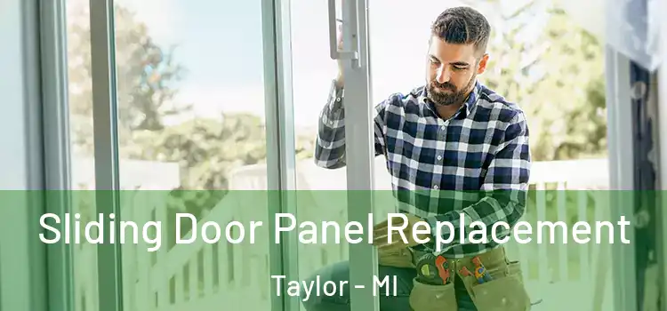  Sliding Door Panel Replacement Taylor - MI