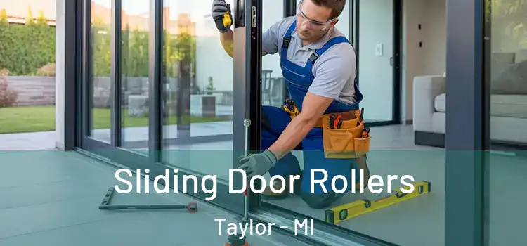 Sliding Door Rollers Taylor - MI
