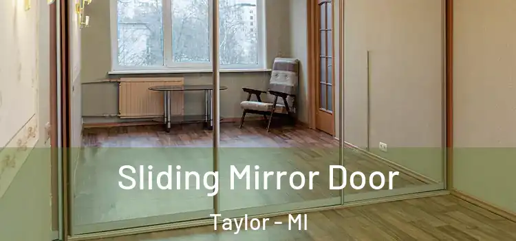  Sliding Mirror Door Taylor - MI