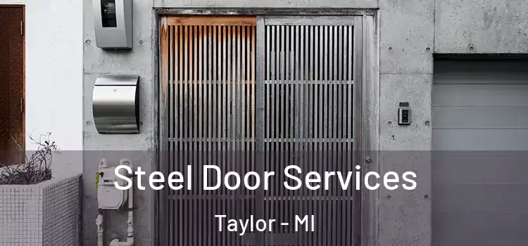 Steel Door Services Taylor - MI
